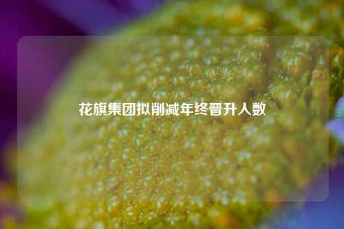 花旗集团拟削减年终晋升人数-第1张图片-解放阁