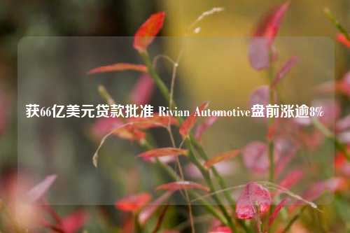 获66亿美元贷款批准 Rivian Automotive盘前涨逾8%-第1张图片-解放阁