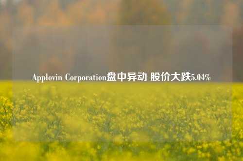 Applovin Corporation盘中异动 股价大跌5.04%-第1张图片-解放阁