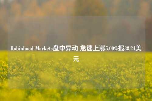 Robinhood Markets盘中异动 急速上涨5.00%报38.24美元-第1张图片-解放阁