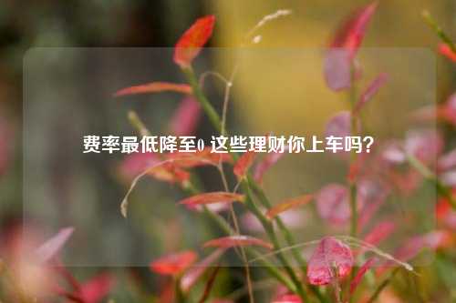 费率最低降至0 这些理财你上车吗？-第1张图片-解放阁