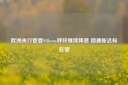 欧洲央行管委Villeroy呼吁继续降息 因通胀达标在望-第1张图片-解放阁