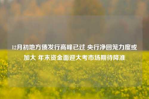 12月初地方债发行高峰已过 央行净回笼力度或加大 年末资金面迎大考市场期待降准-第1张图片-解放阁