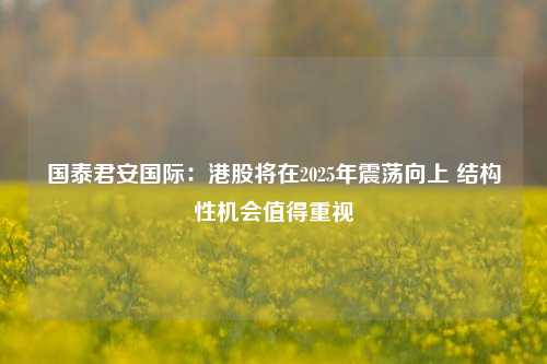 国泰君安国际：港股将在2025年震荡向上 结构性机会值得重视-第1张图片-解放阁