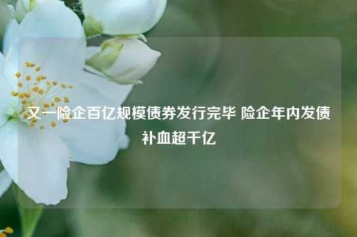 又一险企百亿规模债券发行完毕 险企年内发债补血超千亿-第1张图片-解放阁