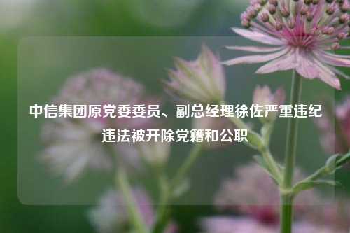 中信集团原党委委员、副总经理徐佐严重违纪违法被开除党籍和公职-第1张图片-解放阁