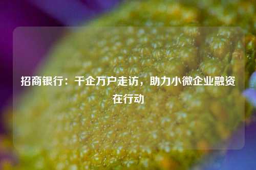 招商银行：千企万户走访，助力小微企业融资在行动-第1张图片-解放阁